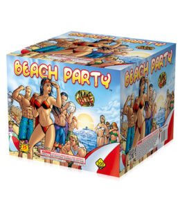 Beach Party Beach Party