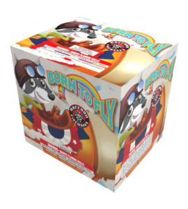 Born to Fly Born to Fly