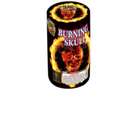 Burning Skull