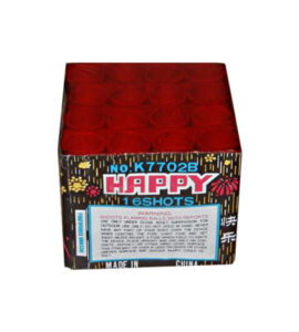 Happy 16 Shot Happy 16 Shot