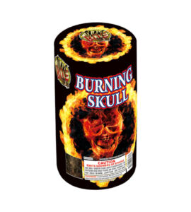 Burning Skull Burning Skull