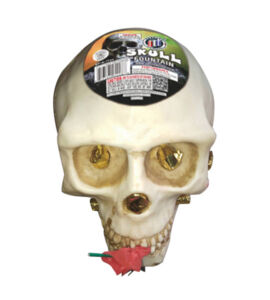 Skull Fountain Skull Fountain
