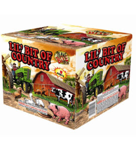 Lil Bit of Country Lil Bit of Country